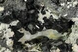 Black Andradite (Melanite) Garnet Cluster - Morocco #107914-1